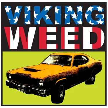 Endless Burnout by Viking Weed - album cover