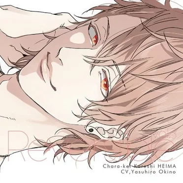 Reversible vol.3 ～チャラ系カレシ・平磨～ by 壱木平磨 - album cover