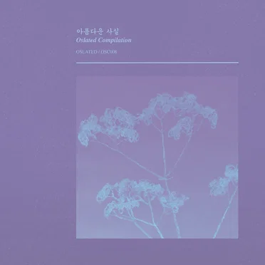 아름다운 사실 Beautiful Facts by Various Artists - album cover