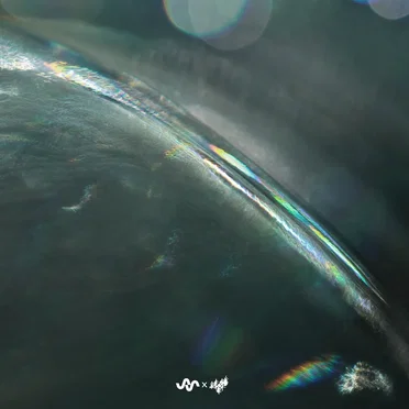 Glass Oceans