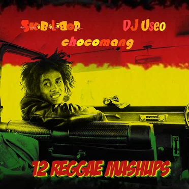 12 Reggae Mashups