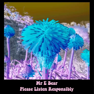 Please Listen Responsibly (EP) by Mr E Bear - album cover
