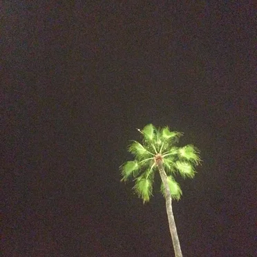 Reassurance by Rest of the World - album cover