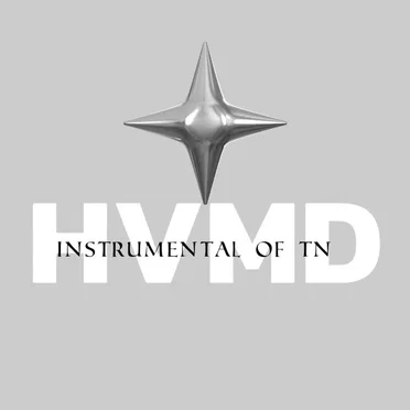 TN love instrumental 1