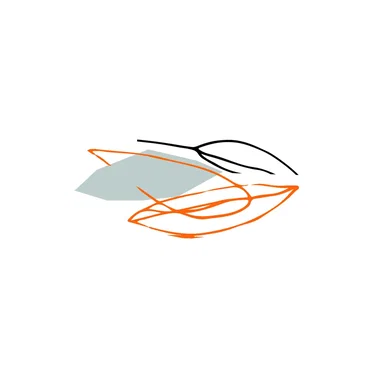 I suppose I'm your future