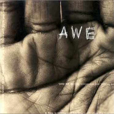 Alternative Worship Experience: Volume 1, Provision for the Soul by AWE - album cover