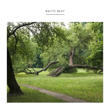 Baltic Beat by Bartosz Kruczyński - album cover