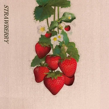 STRAWBERRY by kobore - album cover