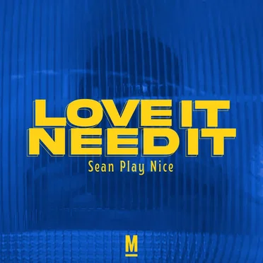 Love it Need it by Sean Play Nice - album cover