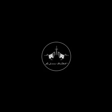 Les Jumeaux Discordants by Les Jumeaux Discordants - album cover