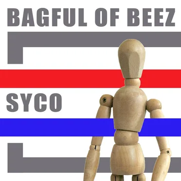 Syco by Bagful of Beez - album cover