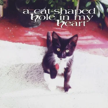 A Cat‐Shaped Hole in My Heart by Various Artists - album cover