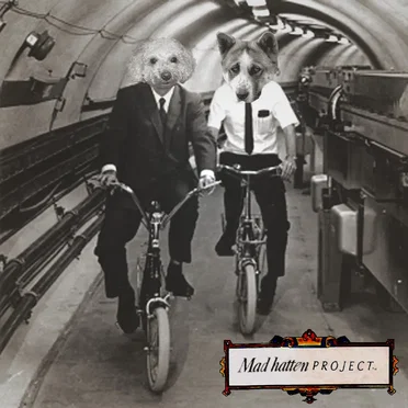 mad hatten project