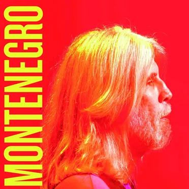 Quebra-cabeça Elétrico