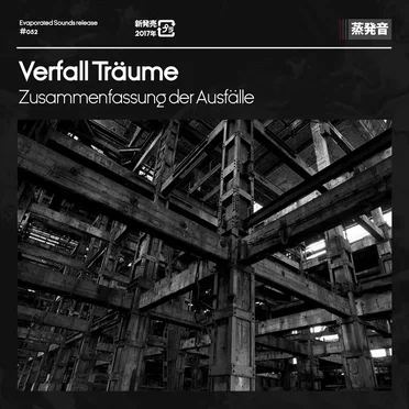 Zusammenfassung der Ausfälle by Verfall Träume - album cover
