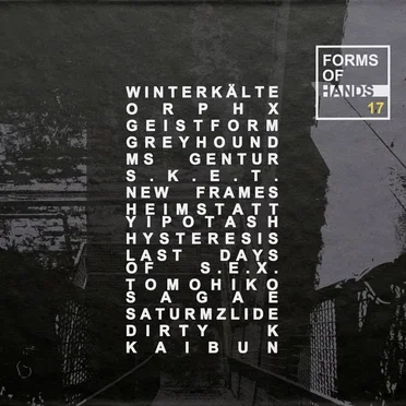 Forms of Hands 17 by Various Artists - album cover