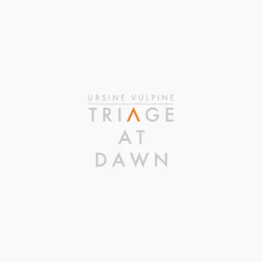 Triage At Dawn