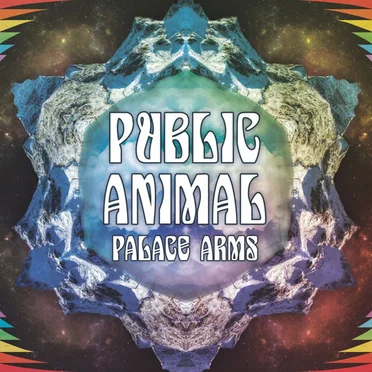 Palace Arms by Public Animal - album cover