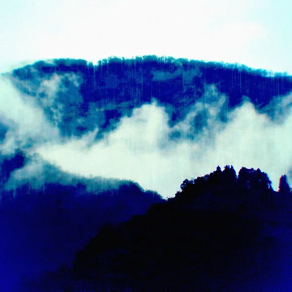 Contemplation of Reality, in Forest Rain