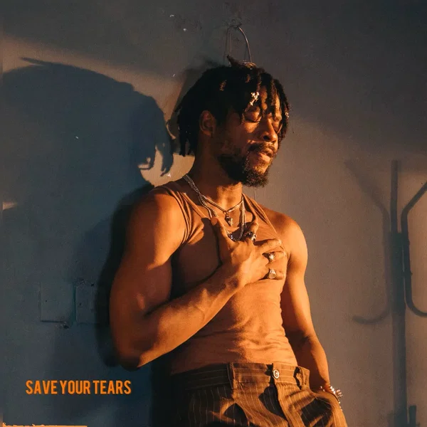 Save Your Tears (Cover)