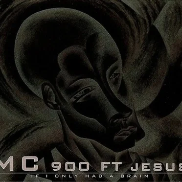 If I Only Had a Brain by MC 900 Ft Jesus - album cover