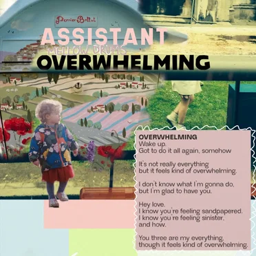 Overwhelming (Mellow Drums) by Assistant - album cover