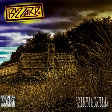 Valium Gorillas by Buzzard - album cover