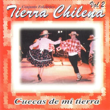 Cuecas de mi tierra Vol 2