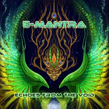Echoes From the Void