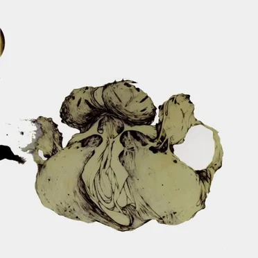 The Ape of Naples / The New Backwards