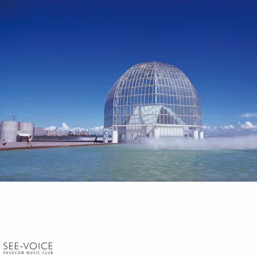 See-Voice