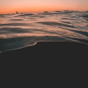 The Isolation Concerts, Volume 16