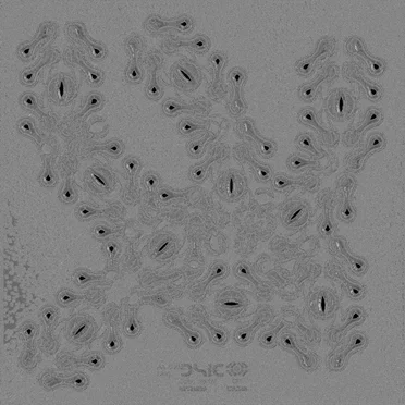 Dsic by Aa Sudd - album cover