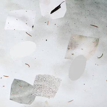 Body Consonance by Byron Westbrook - album cover