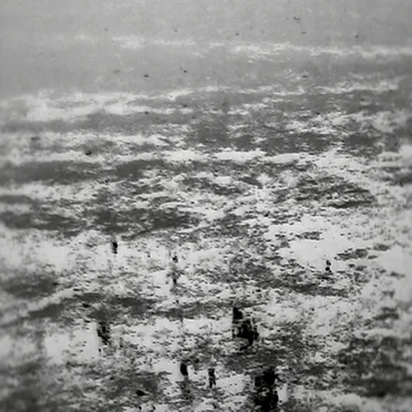 No Lungs by Lonely Water - album cover