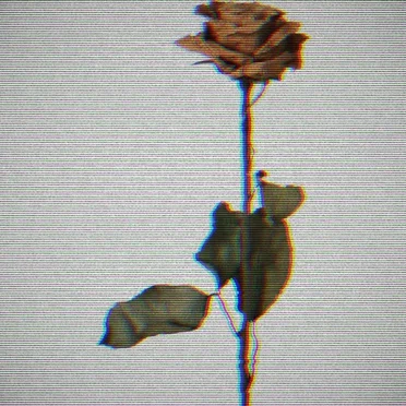 Scars 2.0 by Blut Reaktor - album cover