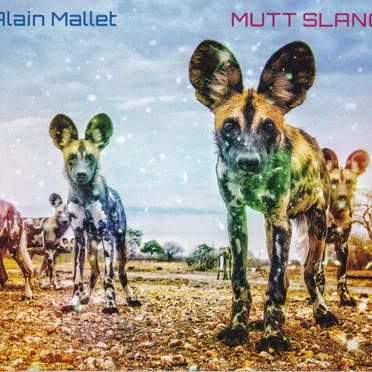 Mutt Slang by Alain Mallet - album cover