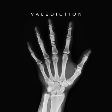 Valediction by PreCog - album cover
