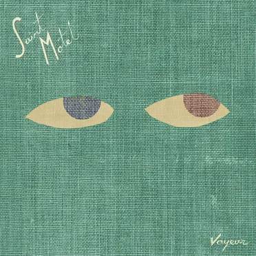 Voyeur by Saint Motel - album cover