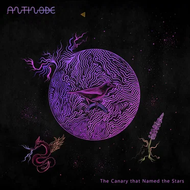 The Canary that Named the Stars by Antinode - album cover