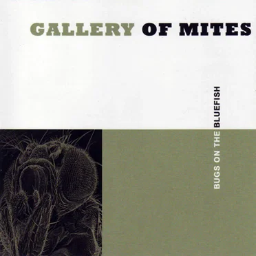 Bugs on the Bluefish by Gallery of Mites - album cover