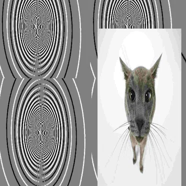 Inhabitable by woFYobEyyJiWMHOMYIwfgSCg4cJZA6Ee ALF6jWPd7gtsm3WIJ3Wr0fuy0iK7171V - album cover