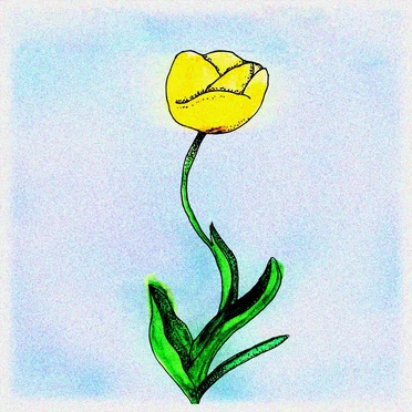 Lucky by Teethe - album cover