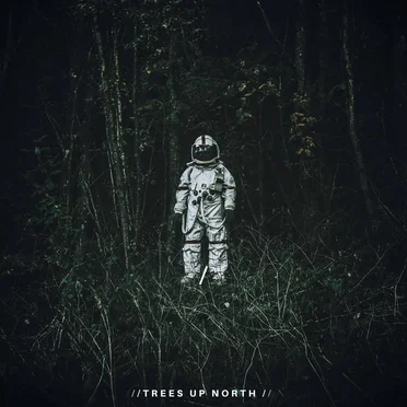 Trees Up North by Trees Up North - album cover