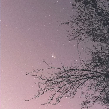 Your blood tastes like love