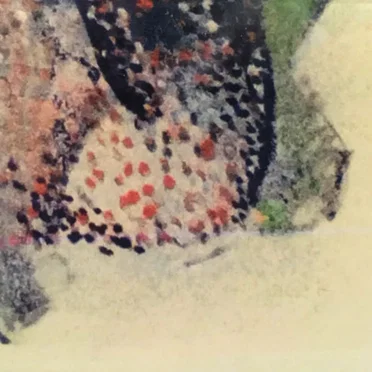Pointillisme or "GTFTO"