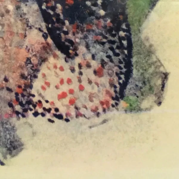 Pointillisme or "GTFTO"