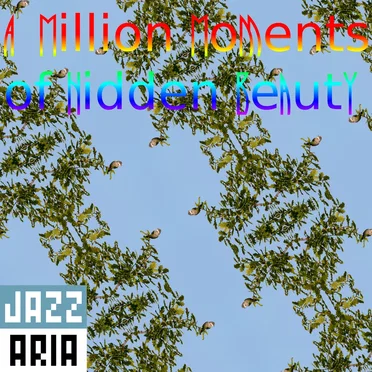 A Million Moments of Hidden Beauty