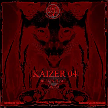 KAIZER 04 by Various Artists - album cover