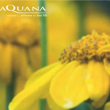 Aquana Vol.1 - Stillness